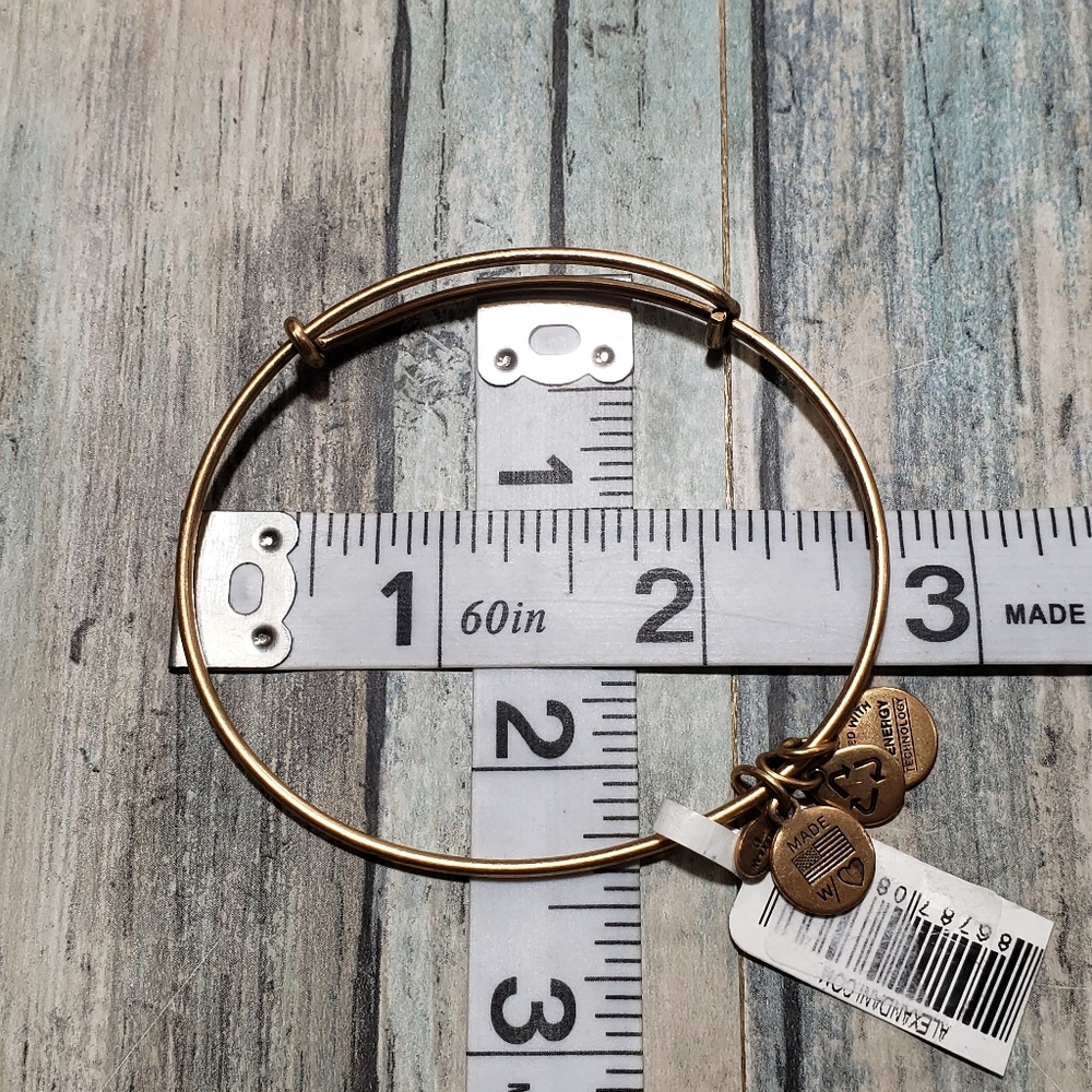 Alex and Ani Energy Bracelet. - Picture 2 of 5
